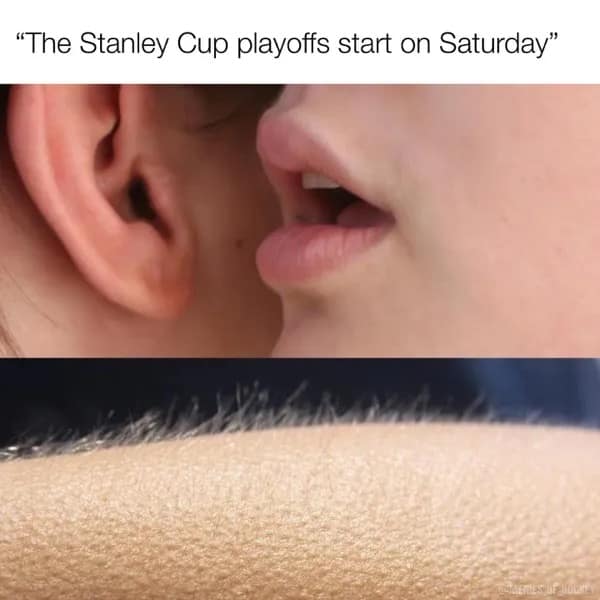 hockey memes, NFL memes, playoff memes, Stanley Cup Memes, Ice Hockey Memes, Funny Hockey Content, Hilarious Hockey Stuff, Amusing NHL Jokes