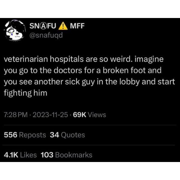 meme dump, funny memes, hilarious memes, funny tweets, meme compilation, meme gallery, dank meme