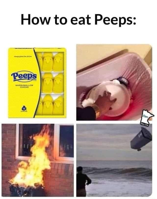 meme dump, hilarious memes, funny memes, best memes, meme collection, chuckle repository