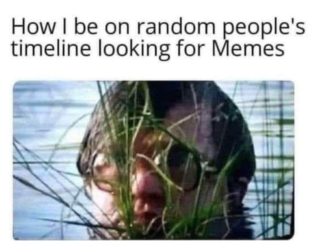 meme dump, hilarious memes, funny memes, best memes, Meme Compilation, Meme Stash Meme Gallery