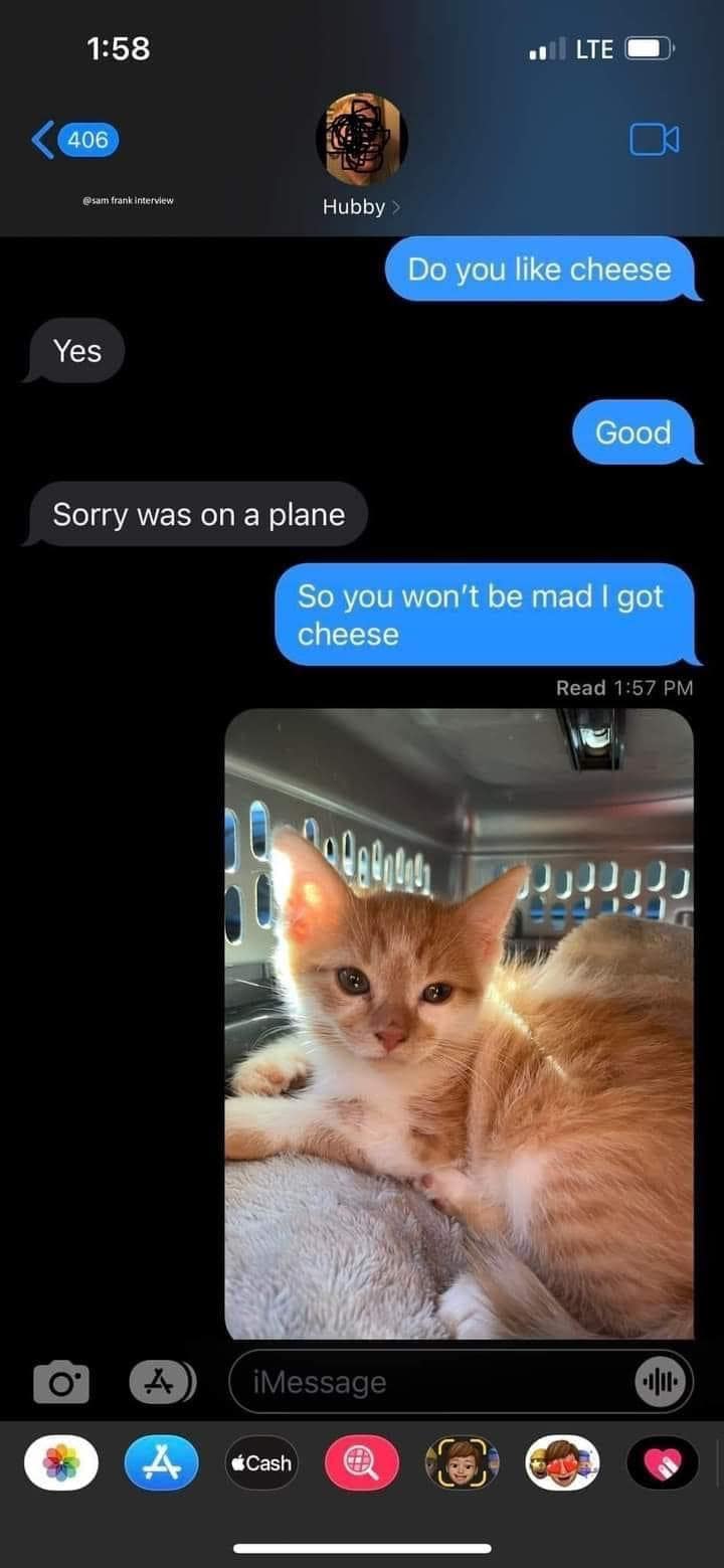 meme dump, hilarious memes, funny memes, best memes, meme collection, chuckle repository