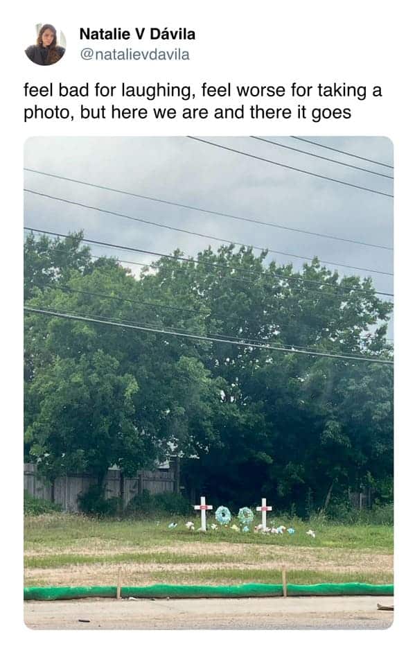 meme dump, funny memes, hilarious memes, lunch break memes, daily laughs, internet comedy, humor compilation, meme buffet, comedy roundup