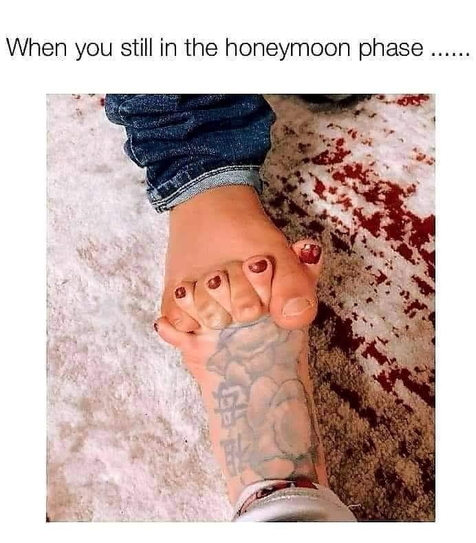 meme dump, hilarious memes