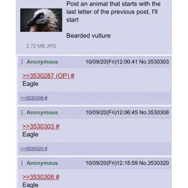 meme dump, hilarious memes