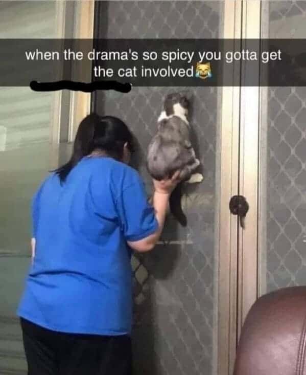 meme dump, funny memes, hilarious memes, internet humor, funny memes, laughter-inducing content, meme collection, humor compilation, joke repository