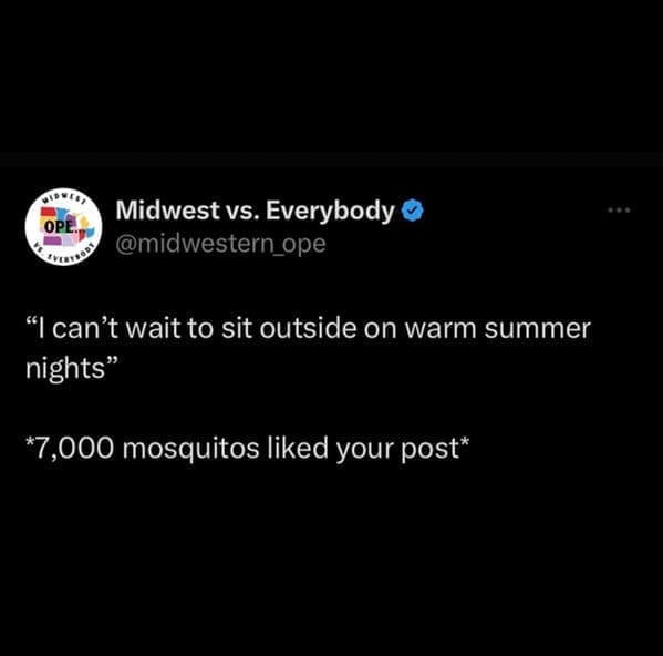"I can't wait to sit outside on warm summer nights" *7,000 mosquitos liked your post*