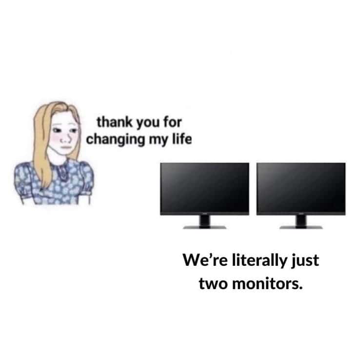thank you for changing my life We're literally just two monitors.