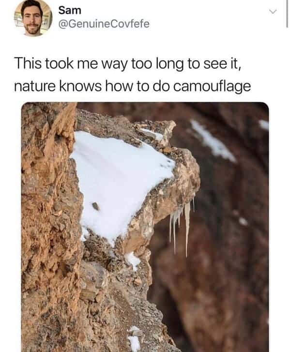 nature memes, outdoor memes, Hiking Memes, Funny Outdoor Content, Hilarious Camping Stories, Amusing Hiking Fails, Wilderness Humor, Backcountry Jokes, Forest Funnies
