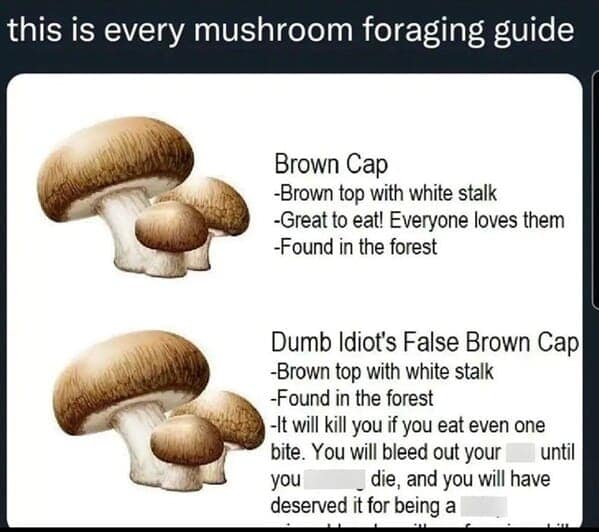 nature memes, outdoor memes, Hiking Memes, Funny Outdoor Content, Hilarious Camping Stories, Amusing Hiking Fails, Wilderness Humor, Backcountry Jokes, Forest Funnies