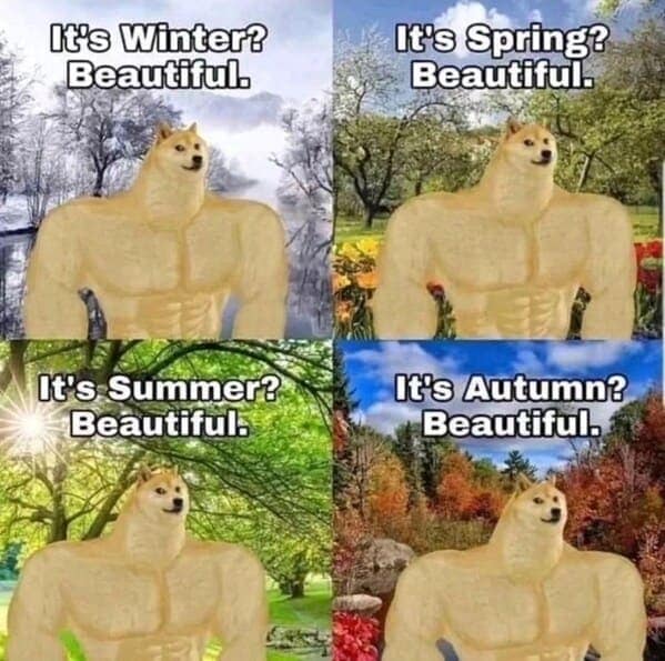 nature memes, outdoor memes, Hiking Memes, Funny Outdoor Content, Hilarious Camping Stories, Amusing Hiking Fails, Wilderness Humor, Backcountry Jokes, Forest Funnies