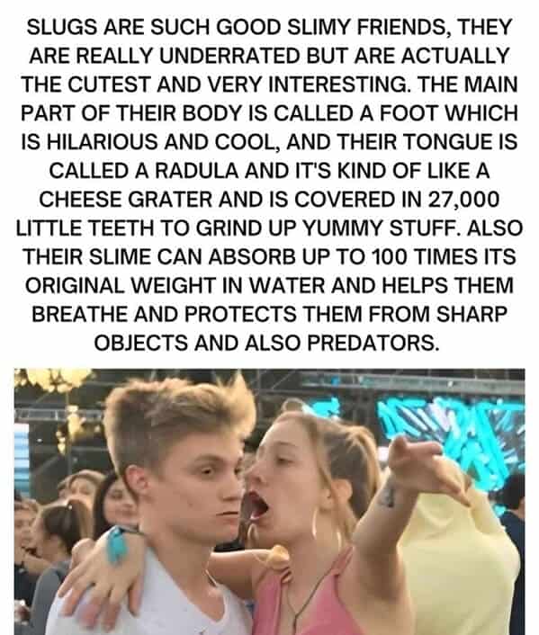 nature memes, outdoor memes, Hiking Memes, Funny Outdoor Content, Hilarious Camping Stories, Amusing Hiking Fails, Wilderness Humor, Backcountry Jokes, Forest Funnies