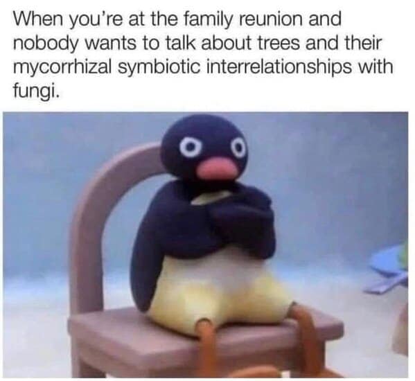 nature memes, outdoor memes, Hiking Memes, Funny Outdoor Content, Hilarious Camping Stories, Amusing Hiking Fails, Wilderness Humor, Backcountry Jokes, Forest Funnies