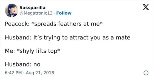 Peacock: *spreads feathers at me* Husband: It's trying to attract you as a mate Me: *shyly lifts top* Husband: no