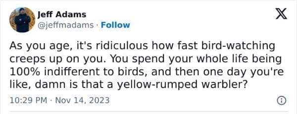As you age, it's ridiculous how fast bird-watching creeps up on you. You spend your whole life being 100% indifferent to birds, and then one day you're like, damn is that a yellow-rumped warbler?