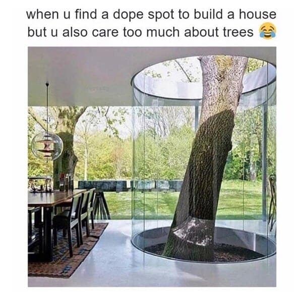 nature memes, outdoor memes, Hiking Memes, Funny Outdoor Content, Hilarious Camping Stories, Amusing Hiking Fails, Wilderness Humor, Backcountry Jokes, Forest Funnies