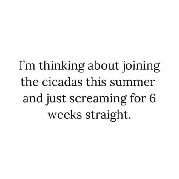 I'm thinking about joining the cicadas this summer and just screaming for 6 weeks straight.