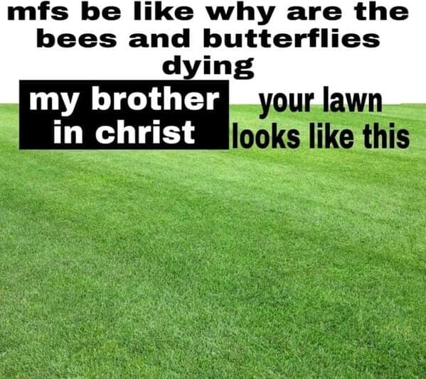 nature memes, outdoor memes, Hiking Memes, Funny Outdoor Content, Hilarious Camping Stories, Amusing Hiking Fails, Wilderness Humor, Backcountry Jokes, Forest Funnies