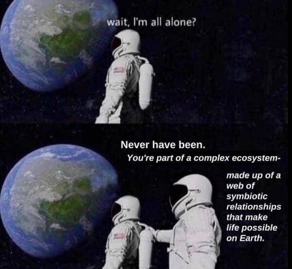 nature memes, outdoor memes, Hiking Memes, Funny Outdoor Content, Hilarious Camping Stories, Amusing Hiking Fails, Wilderness Humor, Backcountry Jokes, Forest Funnies