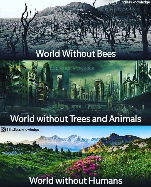 nature memes, outdoor memes, Hiking Memes, Funny Outdoor Content, Hilarious Camping Stories, Amusing Hiking Fails, Wilderness Humor, Backcountry Jokes, Forest Funnies