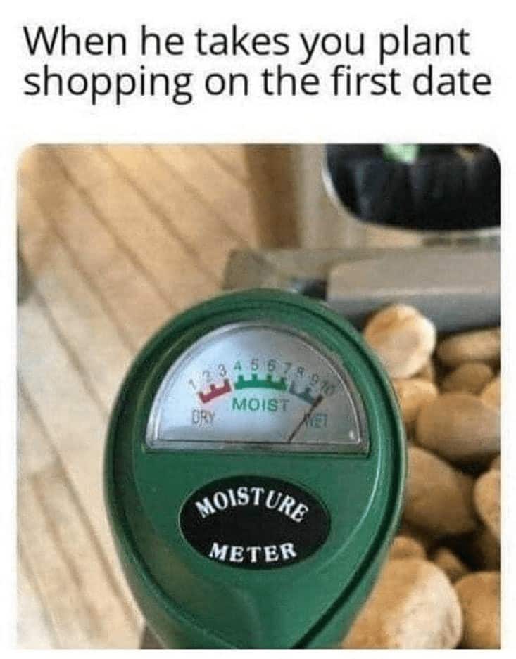 When he takes you plant shopping on the first date