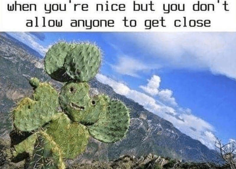 when you're nice but you don't allow anyone to get close