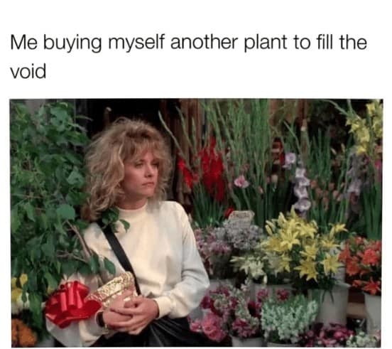 plant memes, plant parent, Plant parent jokes, Memes about houseplants