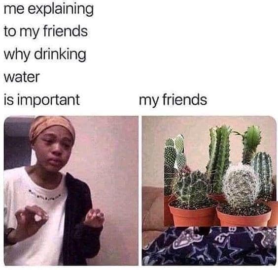 plant memes, plant parent, Plant parent jokes, Memes about houseplants