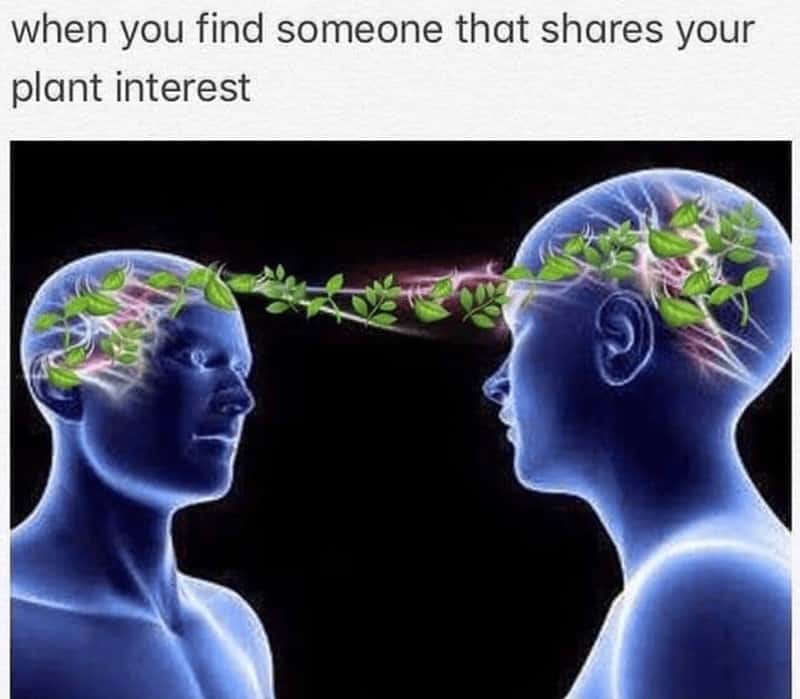 when you find someone that shares your plant interest