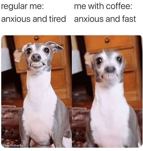 regular me: me with coffee: anxious and tired anxious and fast
