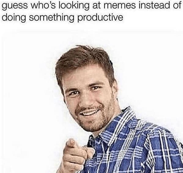 guess who's looking at memes instead of doing something productive