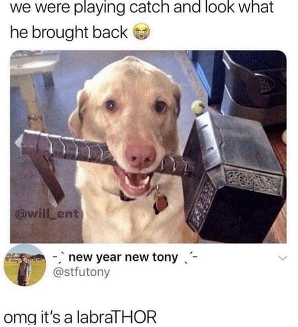 punny memes, bad puns, Puns, Wordplay, terribly puns, dad jokes