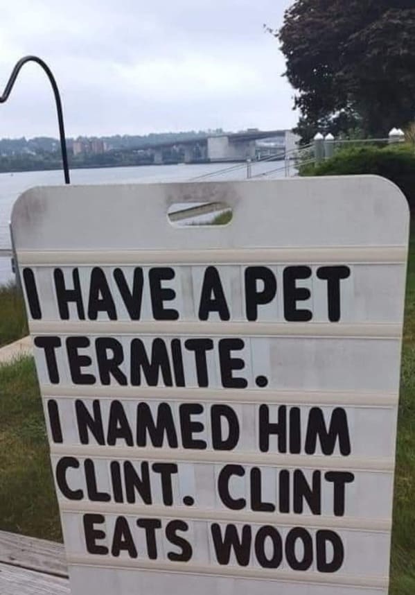 punny memes, bad puns, Puns, Wordplay, terribly puns, dad jokes