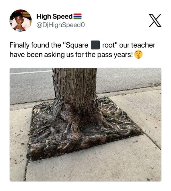 punny memes, bad puns, Puns, Wordplay, terribly puns, dad jokes