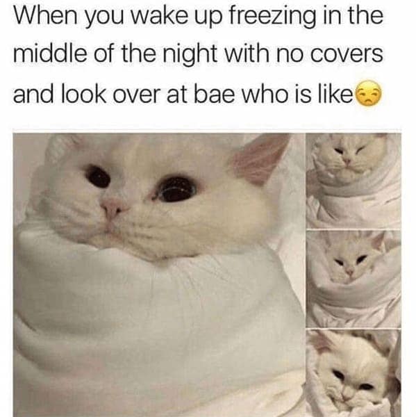 relationship memes, couple memes, Funny Relationship Memes, Couples Memes, Love Life Memes, Romantic Comedy Memes, Partnership Humor, Significant Other Jokes