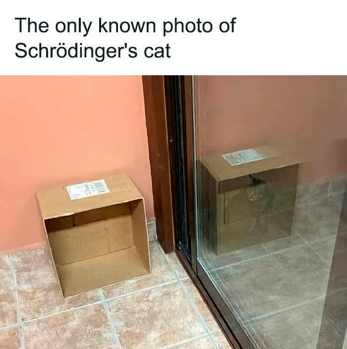 science memes, Scientific Humor, lab humor, research humor, Funny Science Facts, entertaining science facts, amusing science discoveries, STEM Jokes, science, technology, engineering, and mathematics jokes