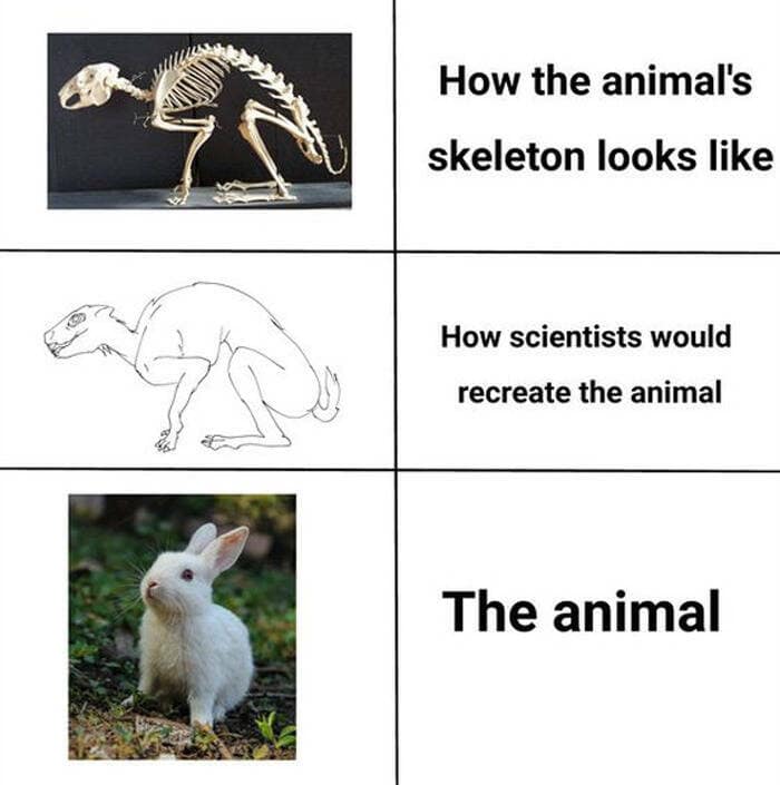 science memes, Scientific Humor, lab humor, research humor, Funny Science Facts, entertaining science facts, amusing science discoveries, STEM Jokes, science, technology, engineering, and mathematics jokes