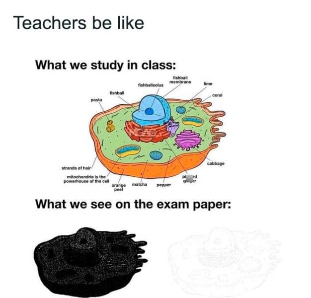 science memes, Scientific Humor, lab humor, research humor, Funny Science Facts, entertaining science facts, amusing science discoveries, STEM Jokes, science, technology, engineering, and mathematics jokes