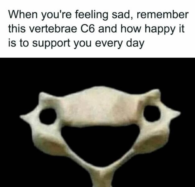 science memes, Scientific Humor, lab humor, research humor, Funny Science Facts, entertaining science facts, amusing science discoveries, STEM Jokes, science, technology, engineering, and mathematics jokes