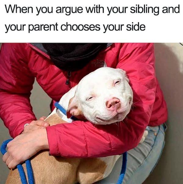 sibling memes, Funny Family Memes, Brother Sister Memes, Childhood Memories Memes, Sibling Humor, Family Shenanigans, Growing Up Memes