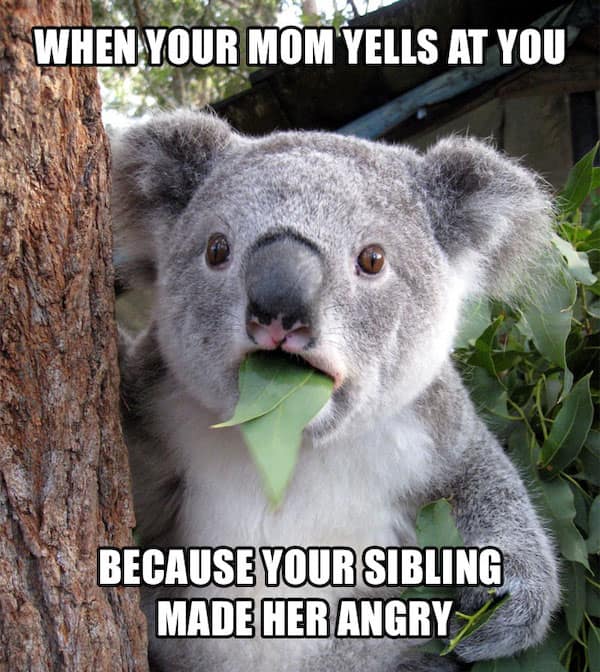 sibling memes, Funny Family Memes, Brother Sister Memes, Childhood Memories Memes, Sibling Humor, Family Shenanigans, Growing Up Memes