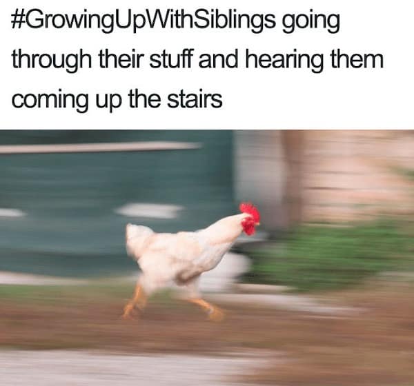 sibling memes, Funny Family Memes, Brother Sister Memes, Childhood Memories Memes, Sibling Humor, Family Shenanigans, Growing Up Memes