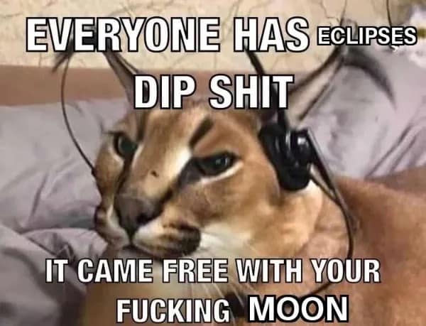 solar eclipse memes, eclipse memes, solar eclipse 2024 memes, solar eclipse 2024. solar eclipse memes 2024, 2024 solar eclipse memes, Solar Eclipse Humor, Eclipse Cartoons, Sun Blackout Jokes, 2024 Celestial Event Memes,