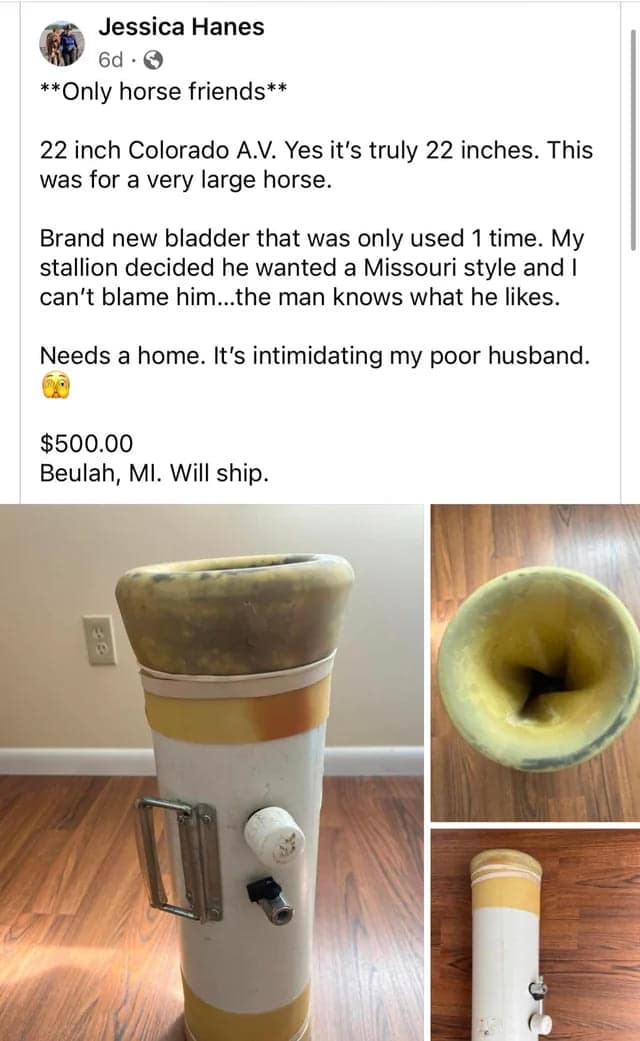 spicy memes, sexy memes, Risqué Memes, Playful Online Content, Double Entendre Humor