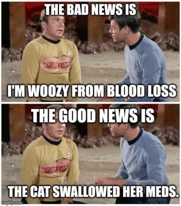 Star Trek memes, Trekkie memes, Trekkie Humor, Star Trek jokes, funny Star Trek moments