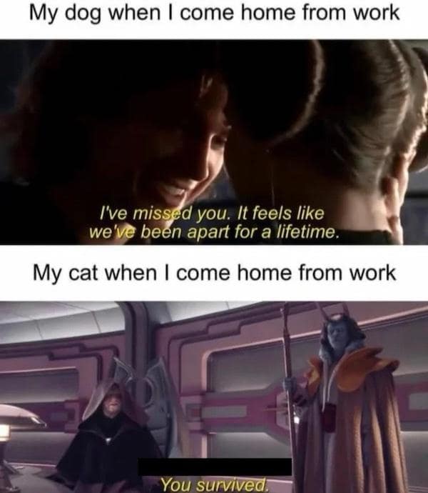 star wars memes, star wars humor, Funny Star Wars content, Star Wars fandom, Star Wars community