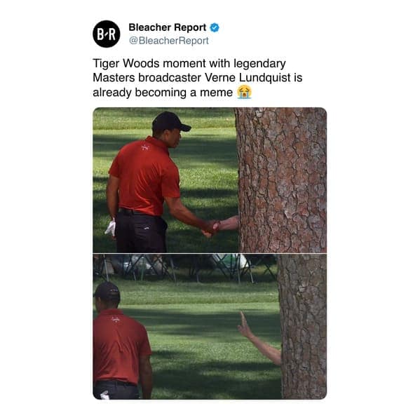 tiger woods memes, Tiger woods tree memes, Tiger woods handshake memes