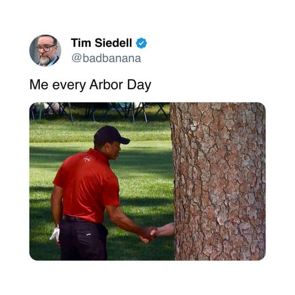 tiger woods memes, Tiger woods tree memes, Tiger woods handshake memes