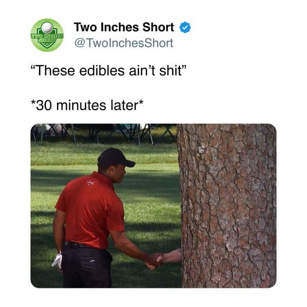 tiger woods memes, Tiger woods tree memes, Tiger woods handshake memes