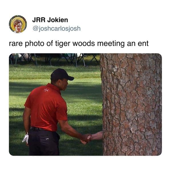 tiger woods memes, Tiger woods tree memes, Tiger woods handshake memes