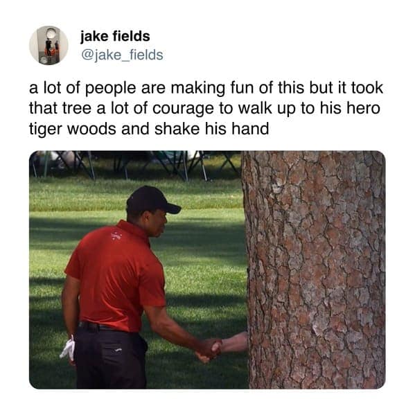 tiger woods memes, Tiger woods tree memes, Tiger woods handshake memes